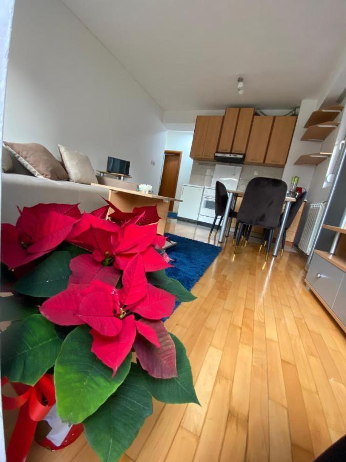 Tea Apartment 스코페 외부 사진